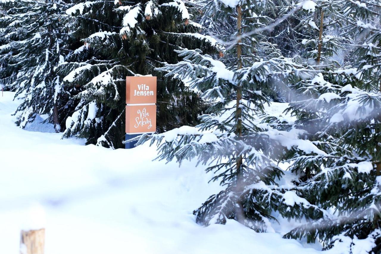 Vila Sekvoj Harrachov Extérieur photo